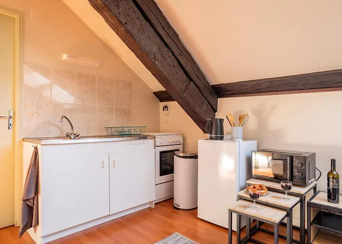 Appartement Delight - Golden Tree - Clim - 20 Min St-croix & Center Parcs Sarrebourg